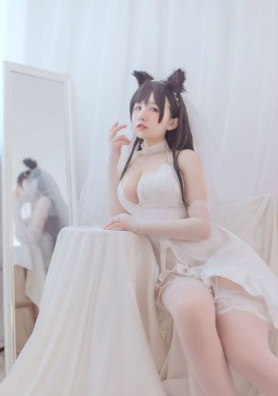 番茄视频app