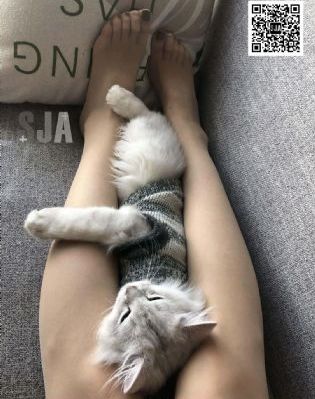 黄石电影