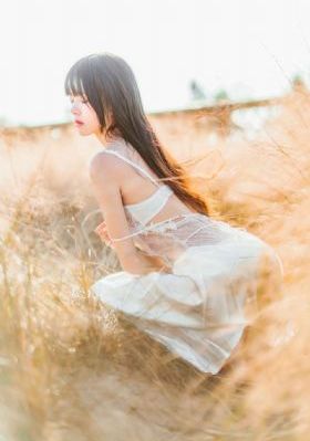 电视剧娘亲舅大全集免费观看