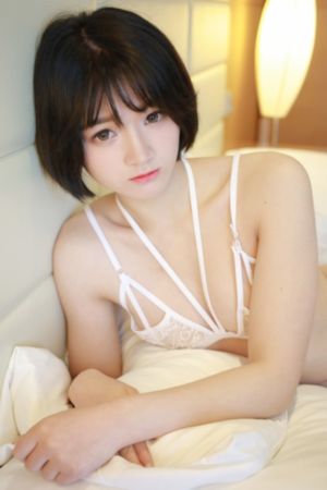 挣扎吧亚当君下一部接档
