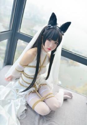 四虎播放