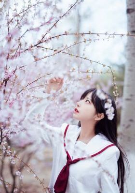 幸福出租车在线观看