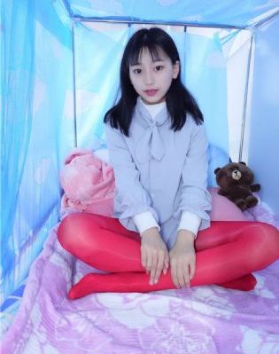 南来北往